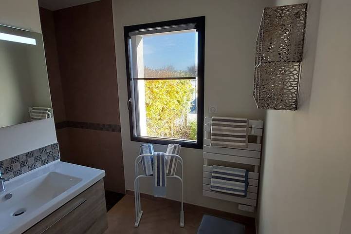 Gîte pour 4 personnes, avec terrasse et jardin à Échiré - 4