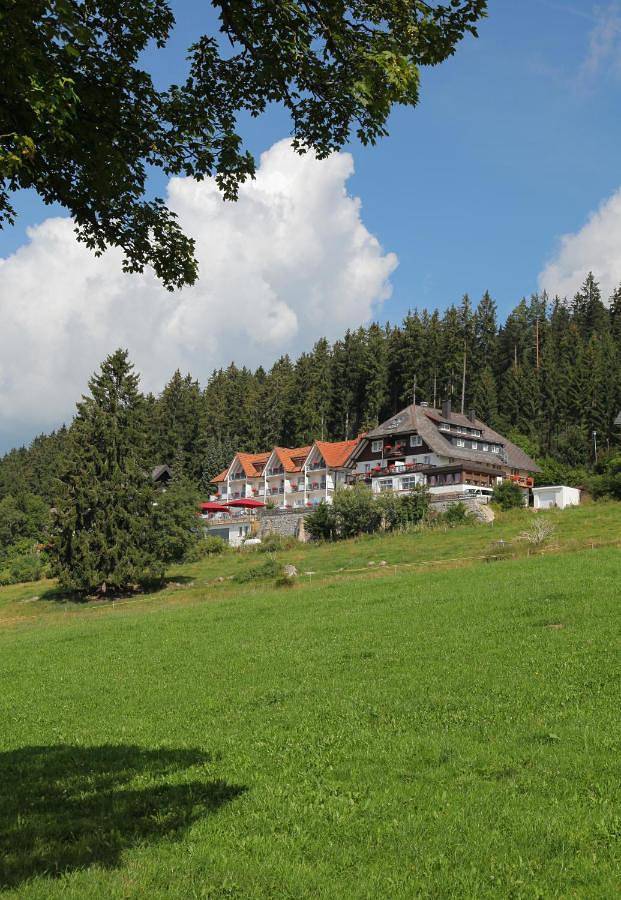 Hôtel pour 3 personnes, avec jardin et jacuzzi ainsi que piscine et sauna, animaux acceptés