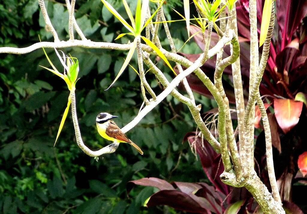Agriturismo für 22 Personen in Areal, Rio de Janeiro (Bundesstaat)