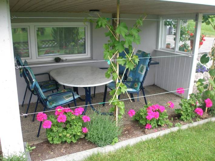 Gîte pour 2 personnes, avec vue ainsi que terrasse et jardin à Hittisau - 2