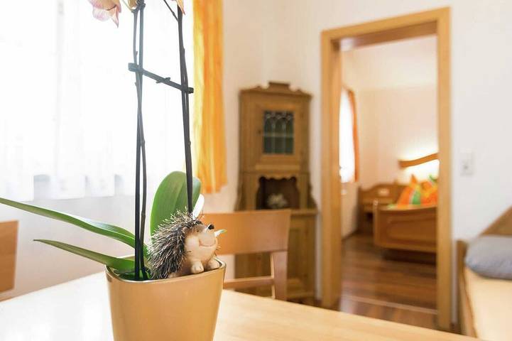 Villa mit pool für 4 Personen, mit Garten und Pool sowie Balkon in Österreich - 3