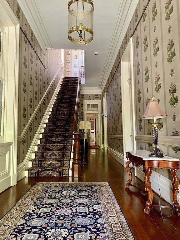 Chambre d’hôte pour 6 personnes, avec jardin à New Orleans - 4