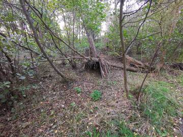 Vakantiehuis voor 6 Personen in Dannemare, Lolland, Afbeelding 4