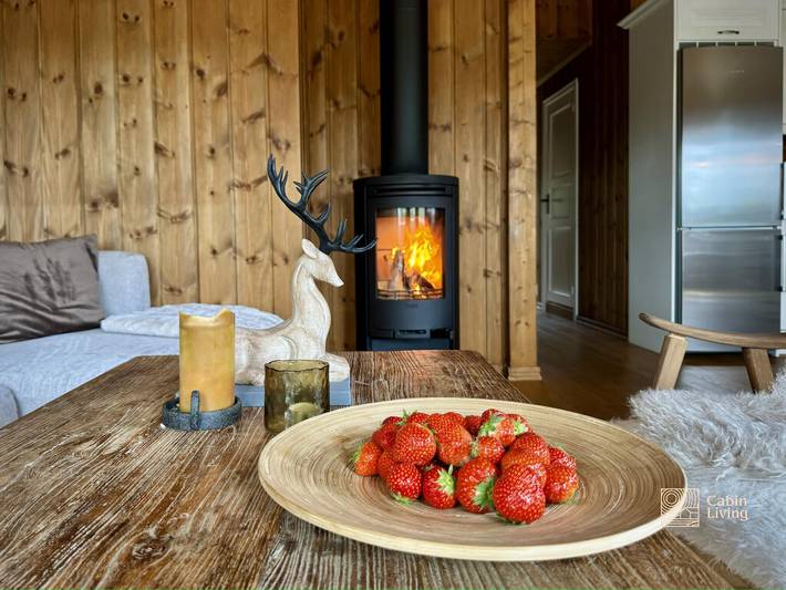 Cottage für 8 Personen in Nesbyen