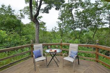 Log Cabin for 4 Guests in Stecoah, Fontana Lake, Picture 3