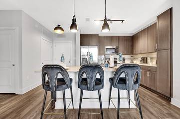 Apartment for 4 Guests in Villa Heights, Charlotte, Picture 2