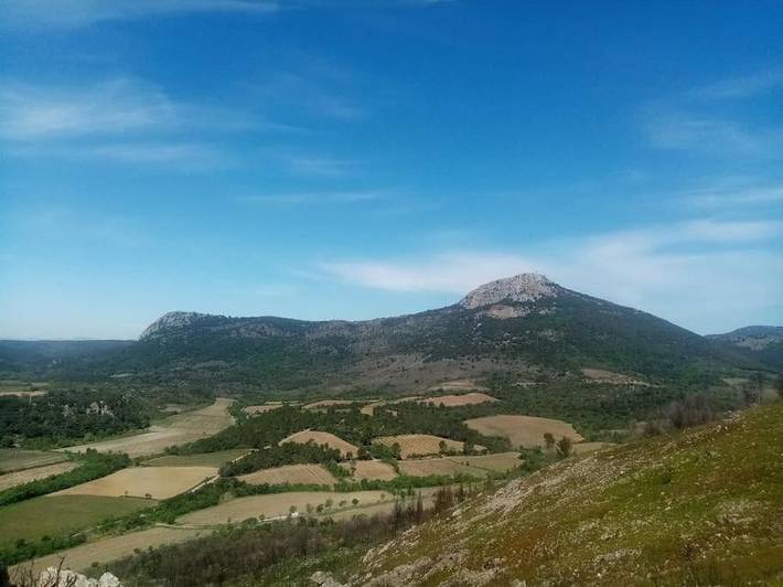 Gîte pour 6 personnes, avec vue et jardin, adapté aux familles à Cabrières (Hérault) - 2