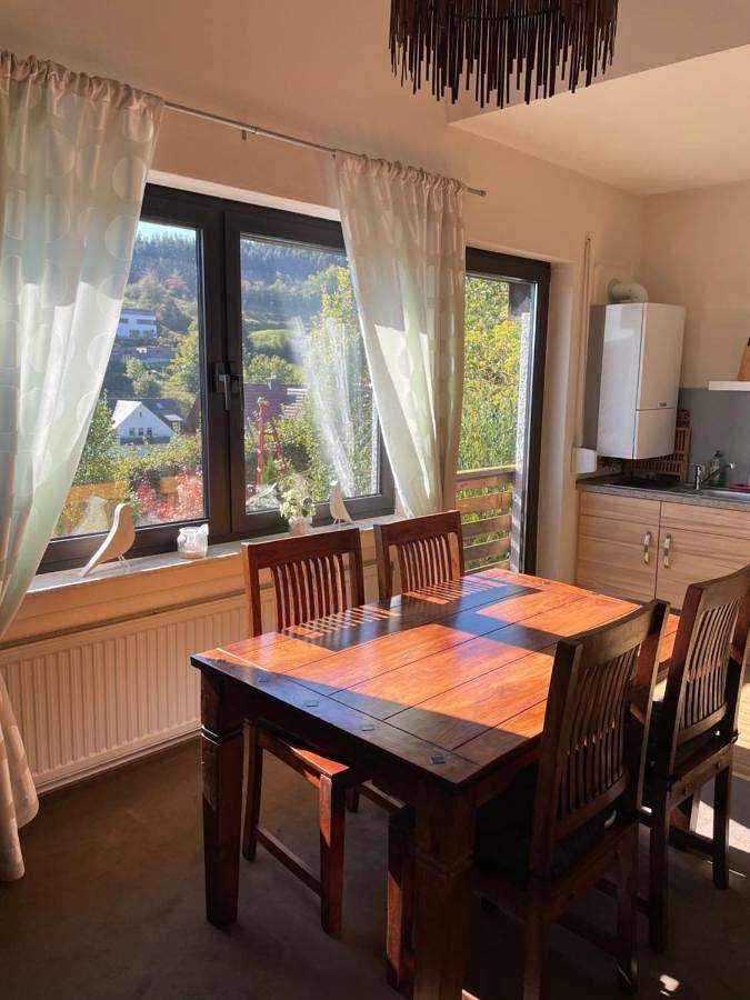 Ferienhaus für 4 Personen, mit Seeblick und Terrasse sowie Ausblick, mit Haustier in der Vulkaneifel - 4