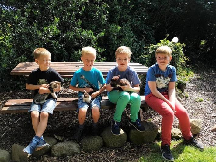 Ferienwohnung für 4 Personen, mit Ausblick und Garten, kinderfreundlich in Gremersdorf - 3