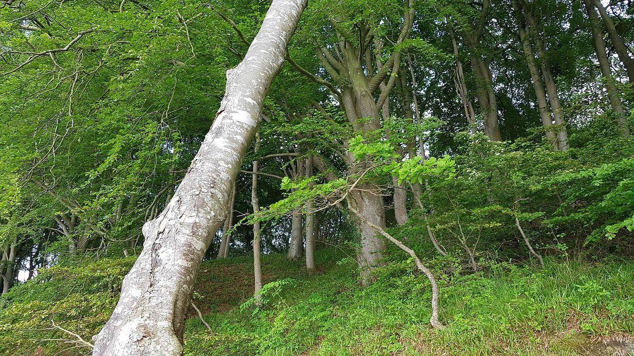 Ferienhaus für 6 Personen (73 m²) in Børkop in Andkær, Børkop