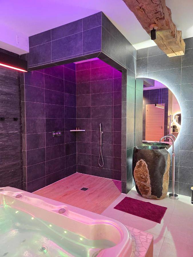 Location de vacances pour 2 personnes, avec piscine et jacuzzi ainsi que jardin et terrasse à Tanis - 4