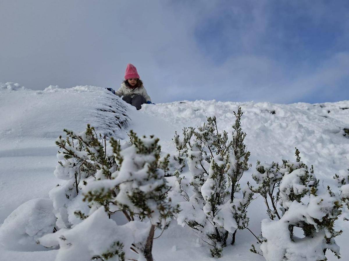 Chalé Acolhedor - Penhas da Saúde - Serra da Estrela in Cortes do Meio, Serra da Estrela