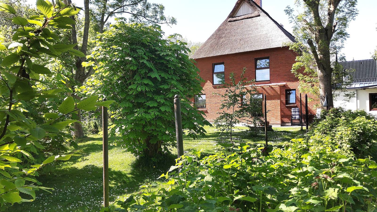 Ganze Wohnung, Ferienwohnung " Ostwind " im Reetdachhaus mit Garten und Wlan in Wesselburener Deichhausen, Dithmarschen