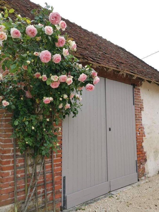 Location de vacances pour 12 personnes, avec Jardin et Piscine à Rilly-sur-Loire - 3