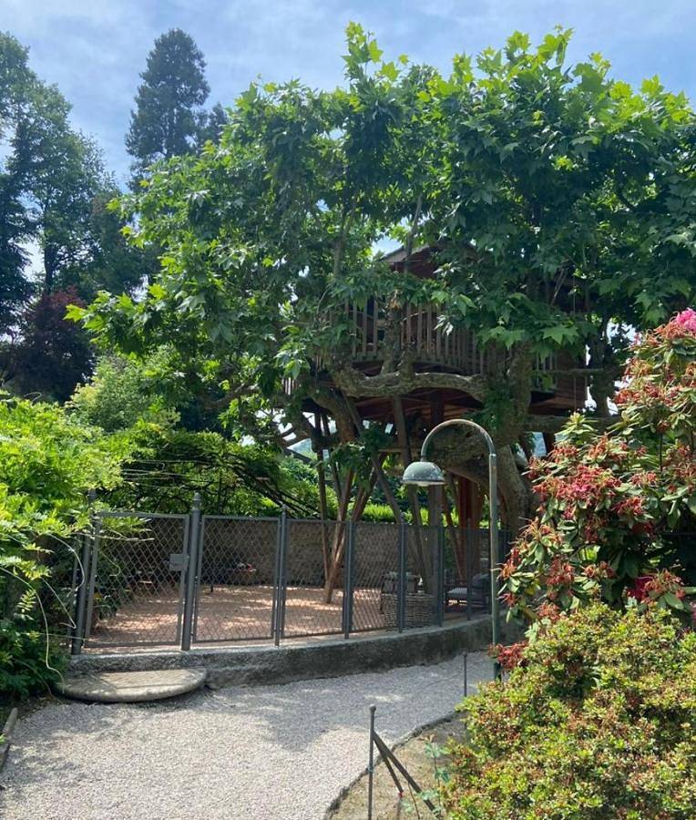 Lake Como Dream Tree House in Como, Comomeer