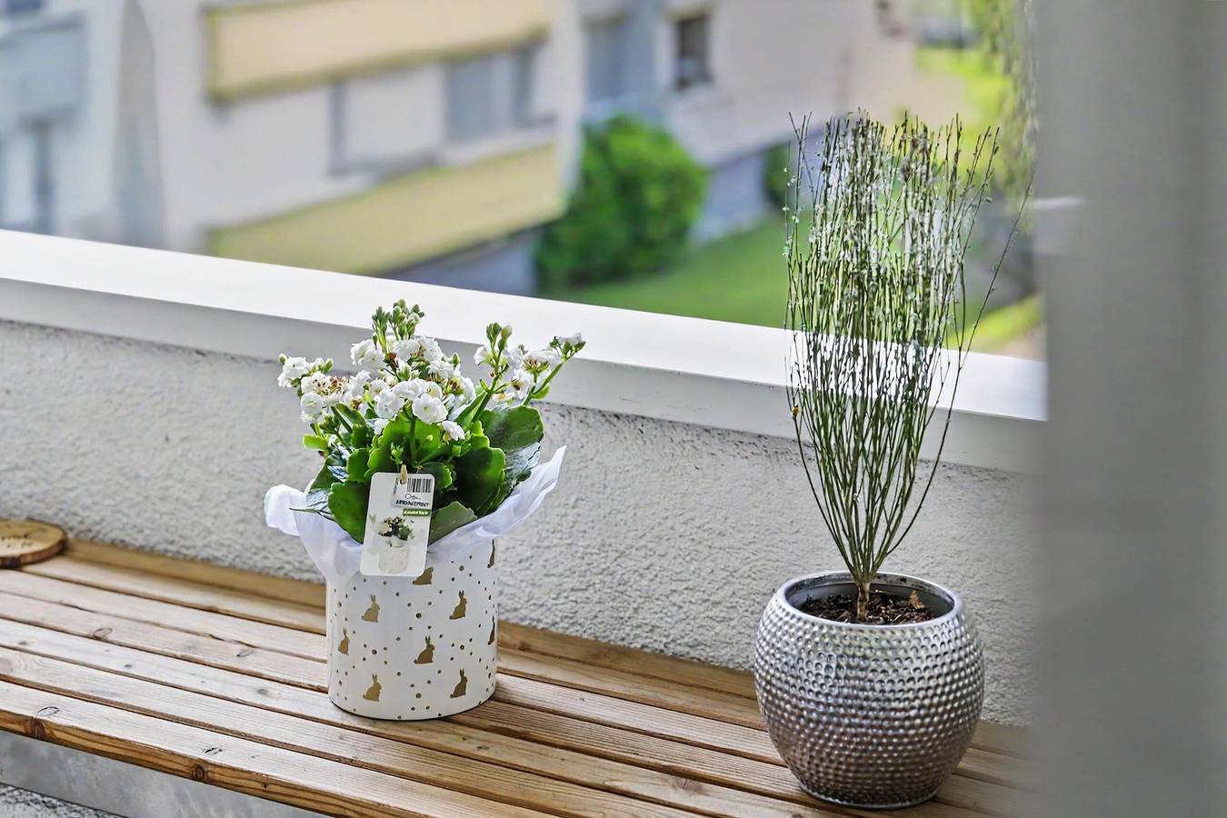 Appartement entier, Appartement « Cozy » avec vue sur la montagne, terrasse privée et Wi-Fi in Dornbirn, Bodensee-Vorarlberg