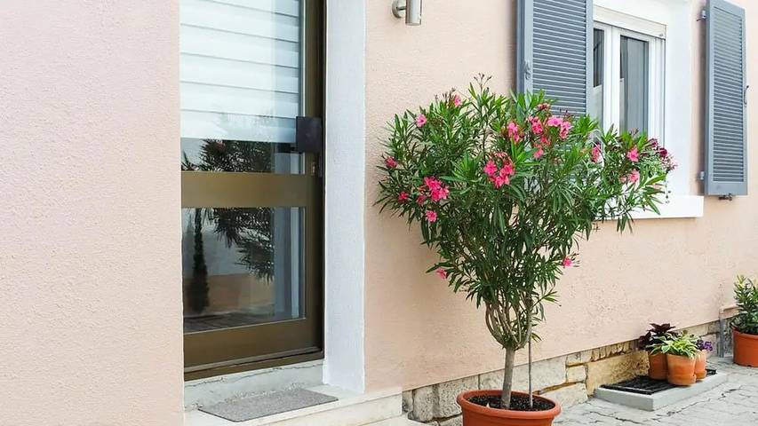 Ganze Ferienwohnung, Ferienwohnung für 4 Personen (65 m²) in Bad Dürkheim in Bad Dürkheim, Pfälzer Rheinebene