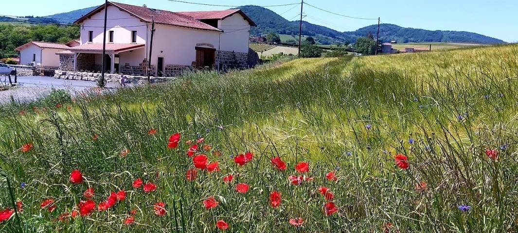 Location de vacances pour 15 personnes, avec terrasse et jacuzzi à Bully - 4