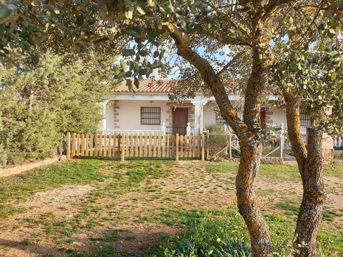 One-Bedroom House in Ossa de Montiel, La Mancha