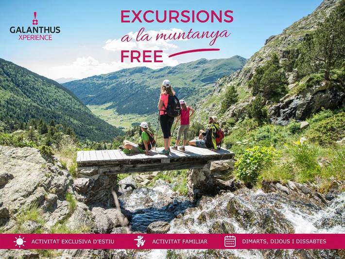 Hôtel pour 4 personnes, avec terrasse et piscine ainsi que jacuzzi et sauna dans Incles - 2