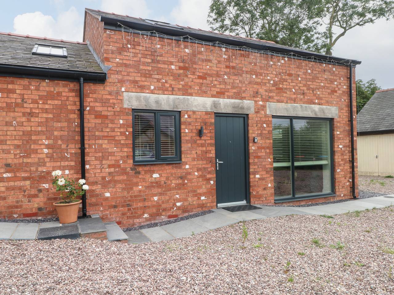 Kestrel in Shocklach Oviatt, Cheshire West and Chester