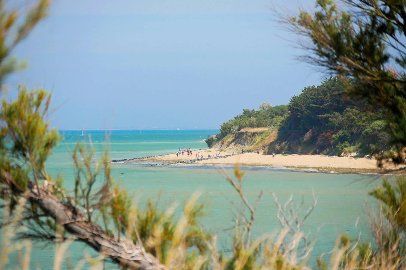 Camping 3 étoiles - Piscine  - ccbffbb in Saint-Denis-d'Oléron, Côte de Beauté