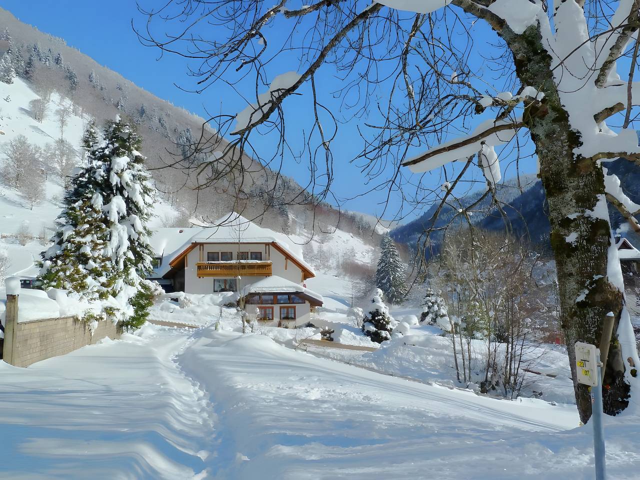 Ganze Wohnung, Ferienwohnung 'Haus Am Rotwiesenbach' mit Bergblick, privater Terrasse und Wi-Fi in Brandenberg (Todtnau), Todtnau