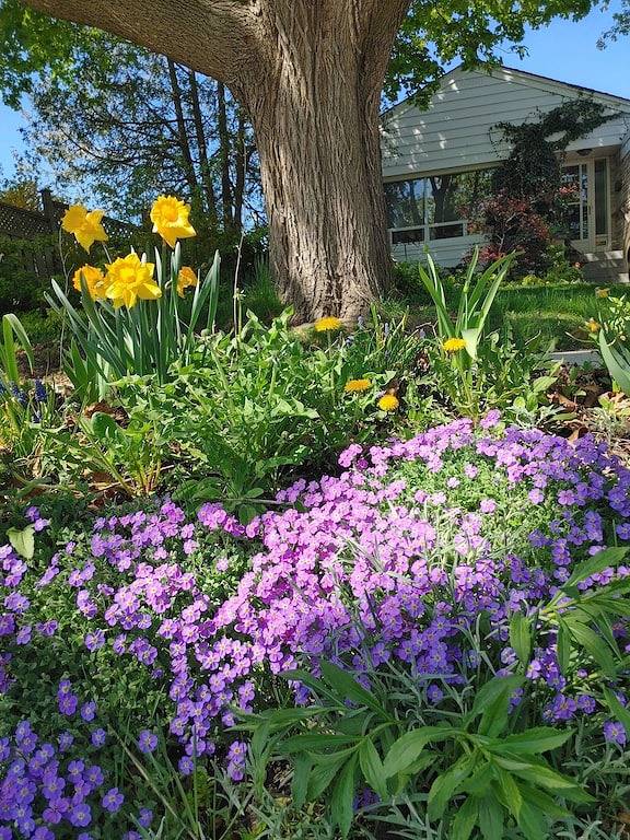 Vacation rental for 3 people, with hot tub and garden in Etobicoke