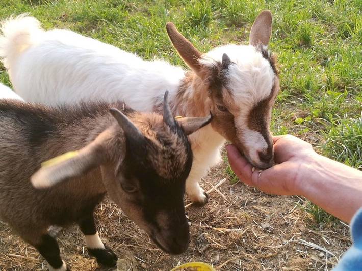 Casa rural para 2 personas, con terraza y jardín en Donostialdea - 3