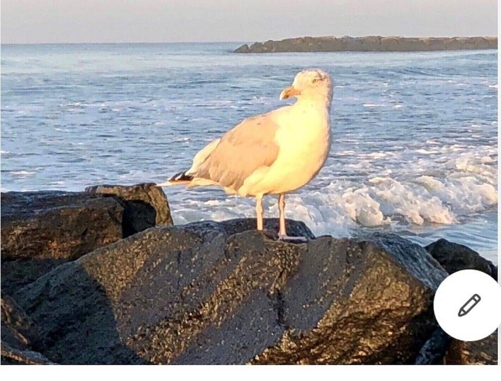 Es ist ein Loft im zweiten Stock in Elmont, Nassau County