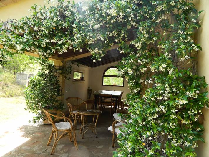 Gîte pour 4 personnes, avec jardin à Campiglia d'Orcia - 3
