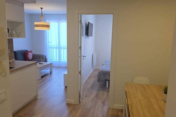 Ganze Wohnung, Renoviertes Bergstudio - 4 Pers. in Candanchú, Aisa