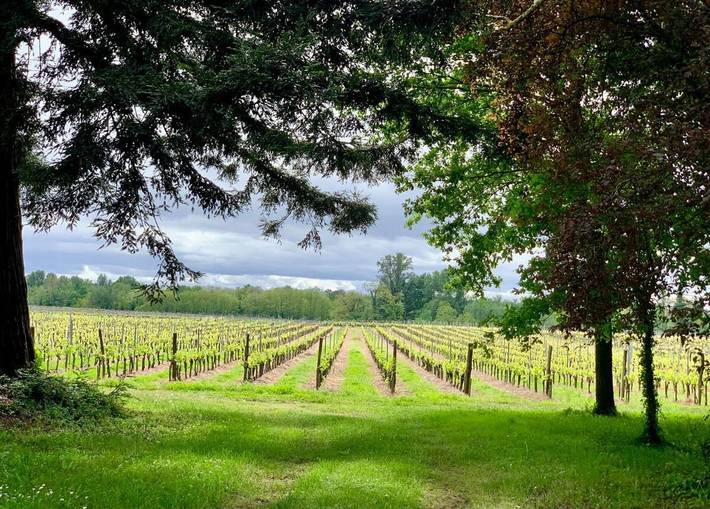 Location de vacances pour 19 personnes, avec jardin à Preignac - 3