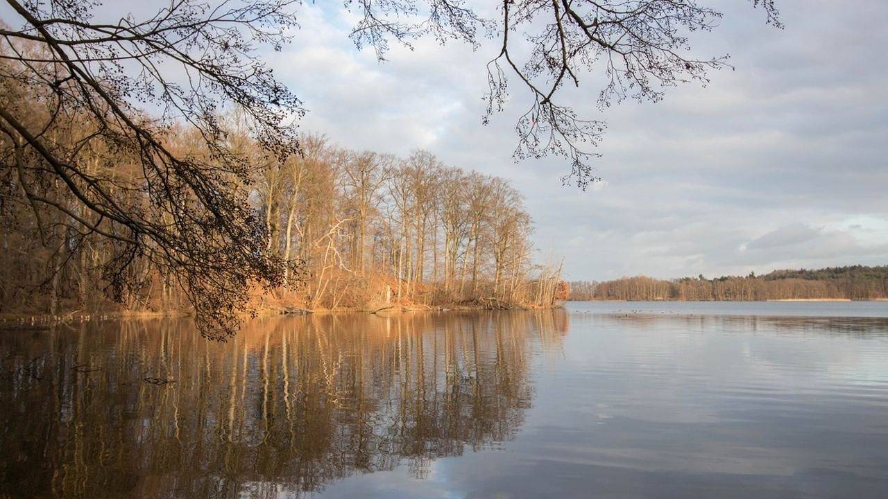 Ferienhaus für 4 Personen (60 m²) in Feldberger Seenlandschaft in Feldberger Seenlandschaft, Mecklenburg-Strelitz