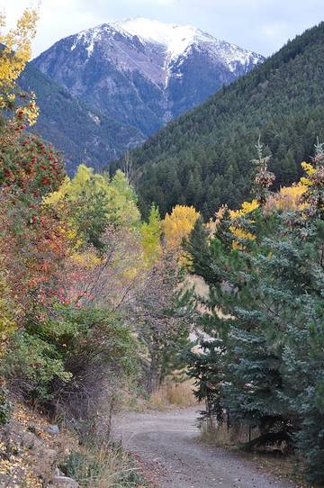Chalet for 4 Guests in Custer Gallatin National Forest, Montana, Picture 4