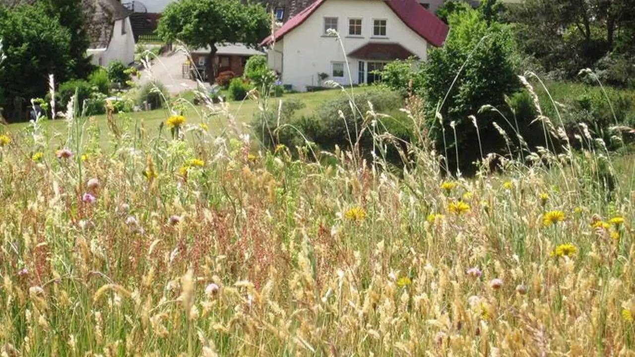 Ganze Ferienwohnung, Ferienwohnung für 2 Personen (27 m²) in Klein Zicker in Klein Zicker, Mönchgut