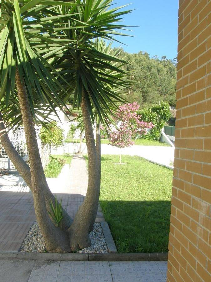 Alojamiento y desayuno para 2 personas, con balcón además de jardín y piscina en Viana do Castelo - 3