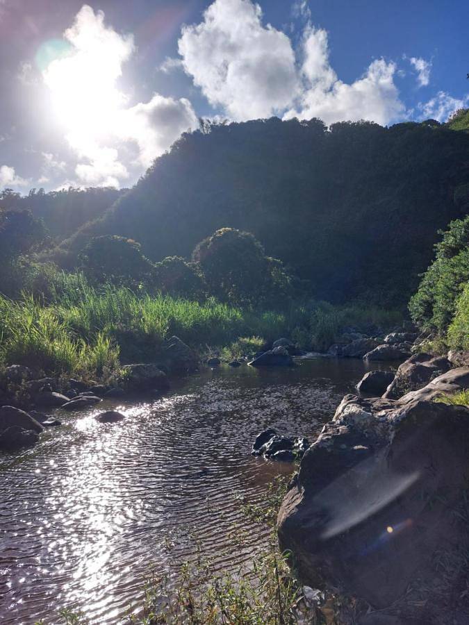 Location de vacances pour 2 personnes, avec vue ainsi que terrasse et jardin à Sainte-Suzanne - 3