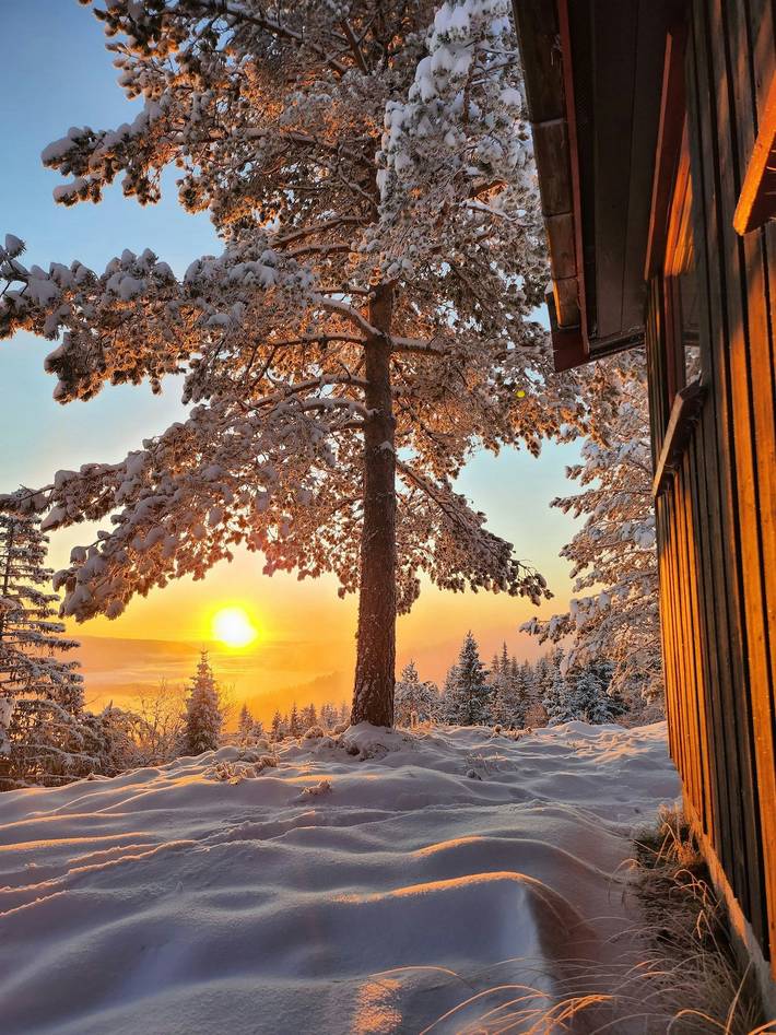 Ferienhaus für 4 Personen, mit Terrasse, kinderfreundlich in Telemark - 3