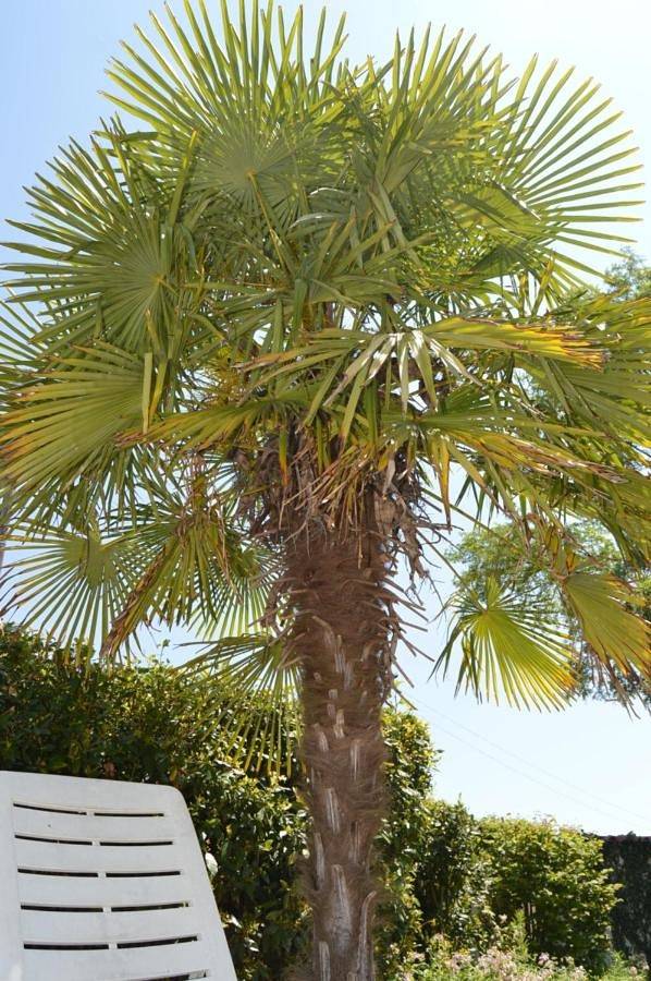 Location de vacances pour 5 personnes, avec Jardin et Piscine à Villiers-le-Roux