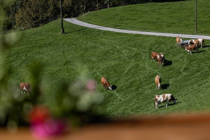 Bauernhof für 4 Personen, mit Garten in Bischofswiesen - 4