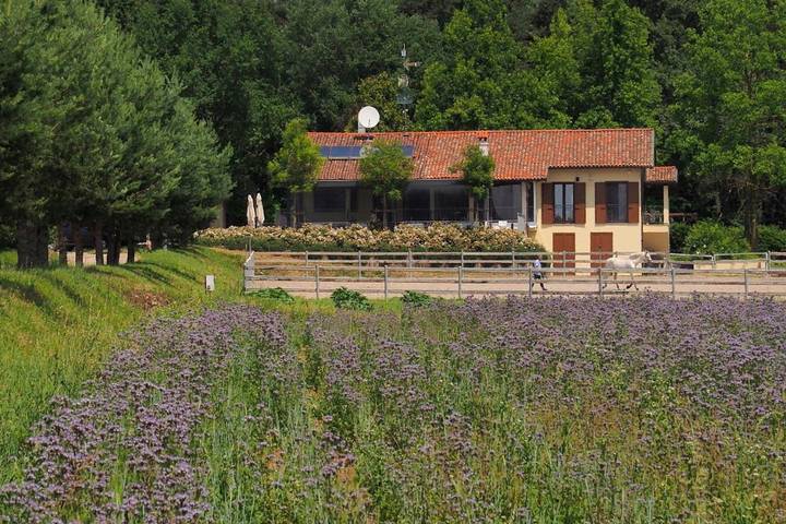 Appartamento per 4 persone, con Terrazza e Giardino a Gerenzano