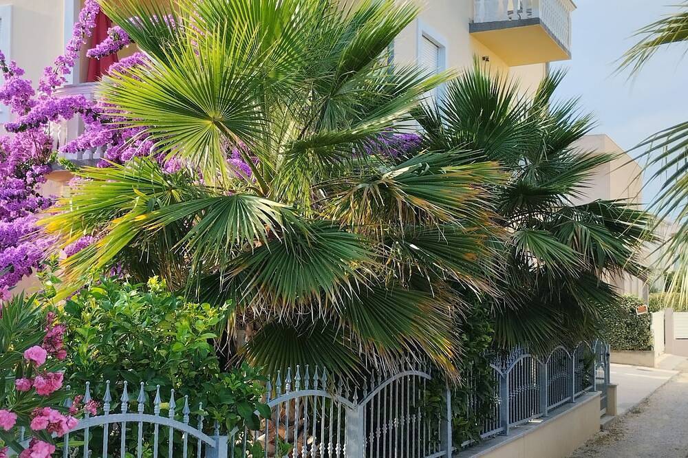 Ganze Wohnung, Apartment 2 Moderne Wohnung, Großer Balkon, 50m. zum Meer in Sukosan, Zadar