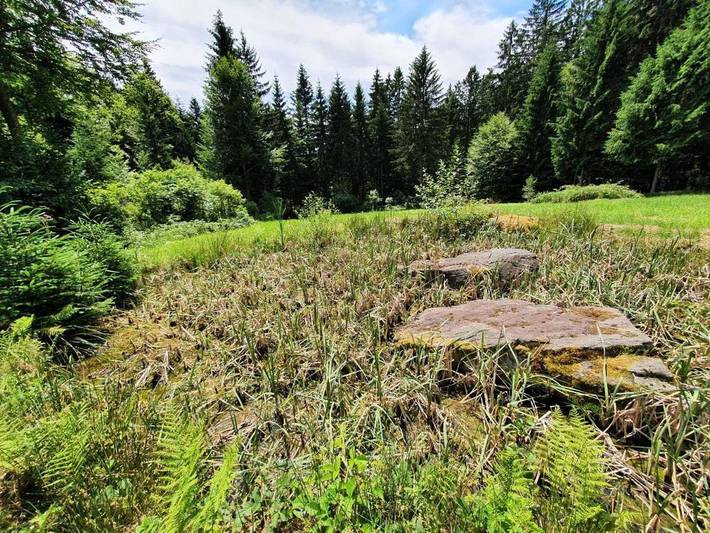 Ferienwohnung für 2 Personen, mit Balkon und Ausblick in Sankt Oswald-Riedlhütte - 4