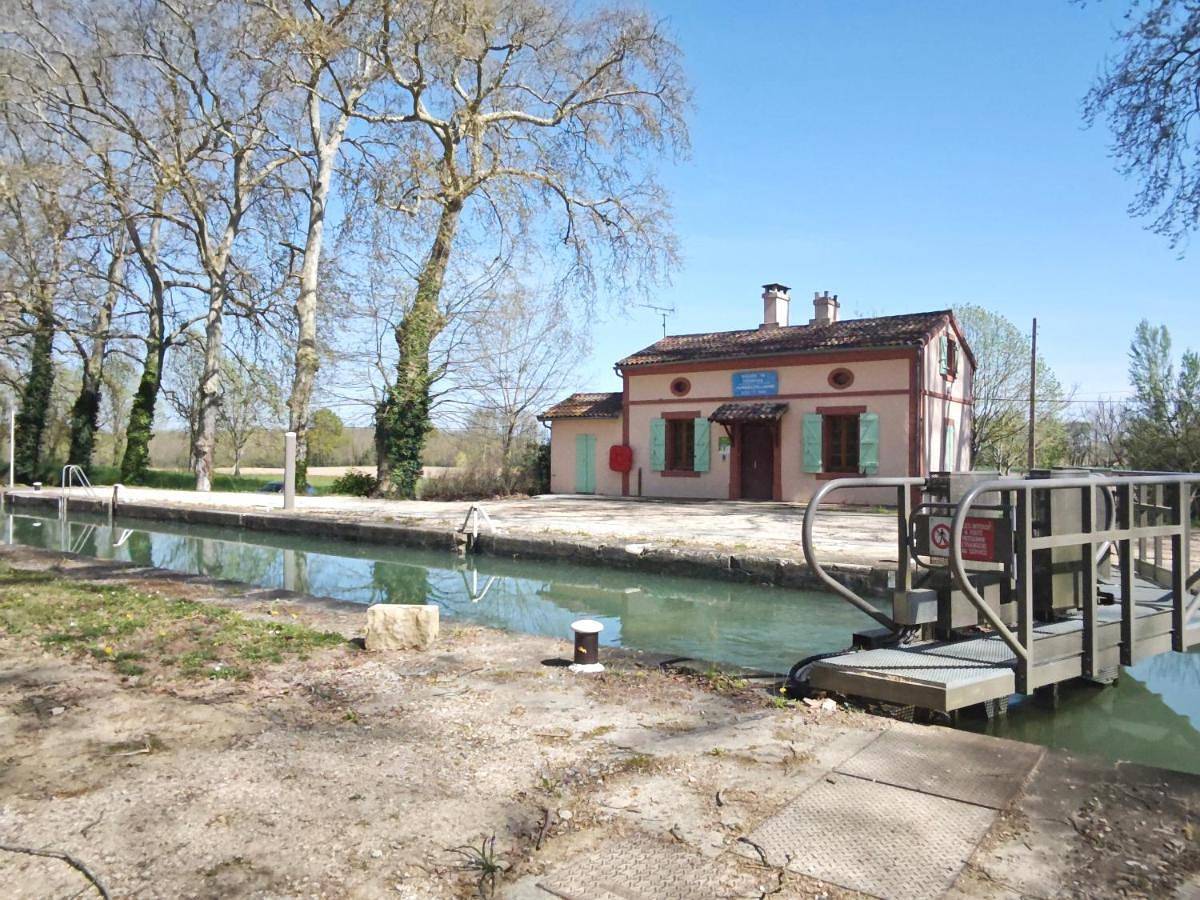 Les coccinelles in Montech, Tarn-et-Garonne