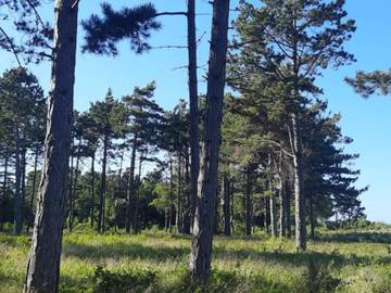 Feriehus til 5 Personer i Rørvig, Odsherred, Bilde 3