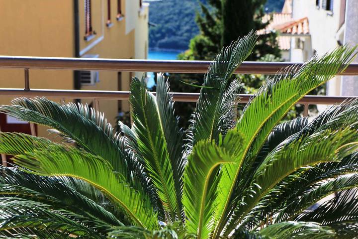 Ganze Ferienwohnung, Ferienwohnung mit Terrasse und Klimaanlage  in Rabac, Labin-Rabac