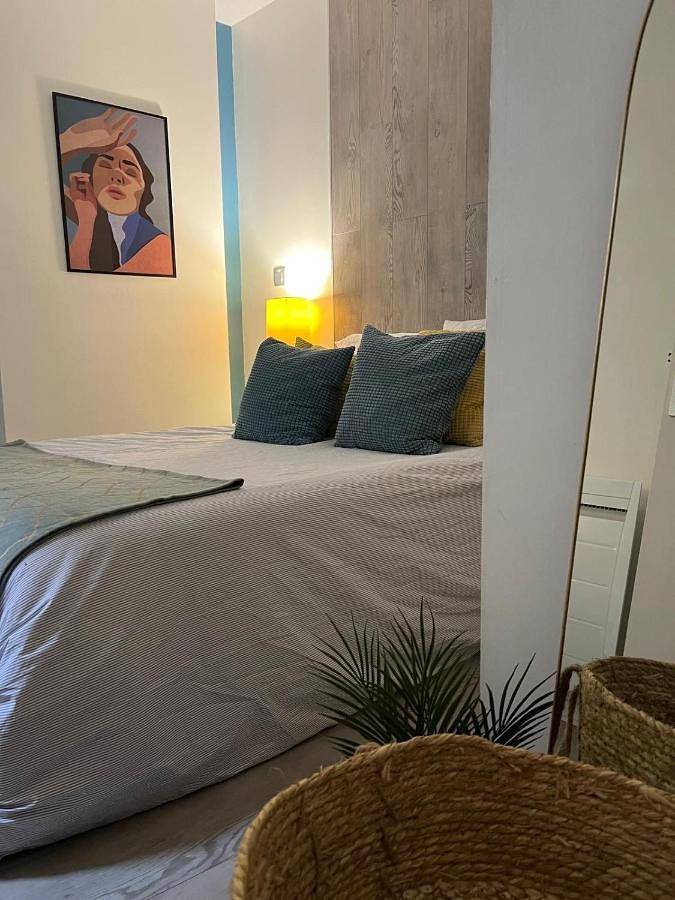 Gîte pour 4 personnes, avec vue, animaux acceptés dans Château de Saumur - 2