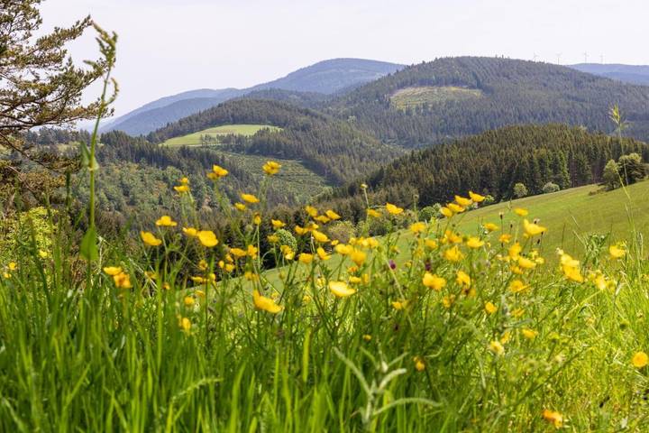 Gîte pour 2 personnes, avec jardin, animaux acceptés à Saint-Bonnet-le-Froid - 4