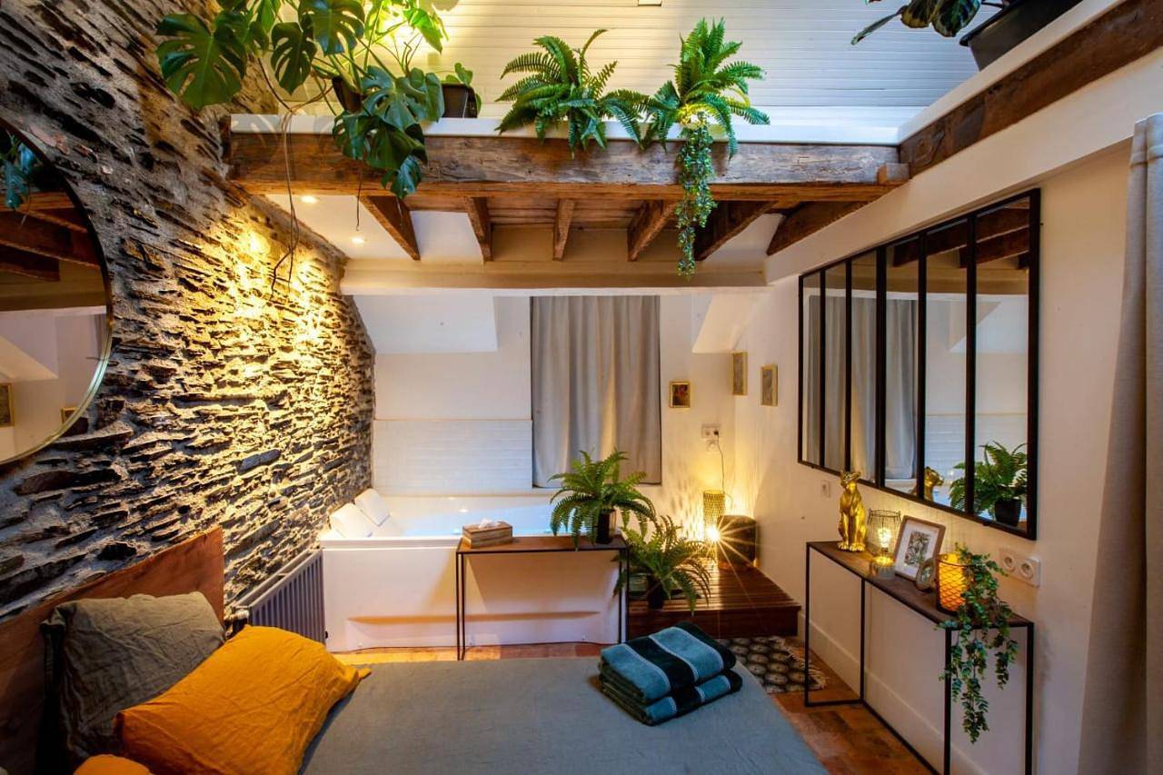 Double Room with Spa Bath in Angers, Région d'Angers